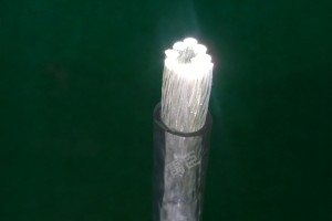 絞合型光纖