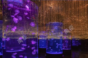 哈爾濱海洋館